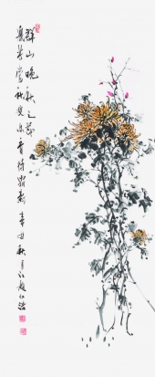 이미지